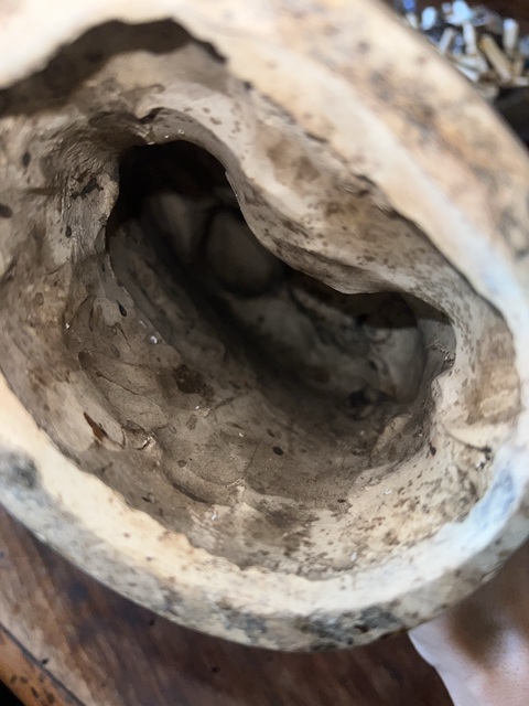 古玩陶瓷壽星塑像真品鑒賞圖