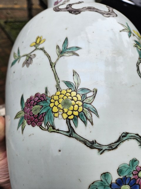 古玩陶瓷粉彩花鳥紋大瓶真品鑒賞圖