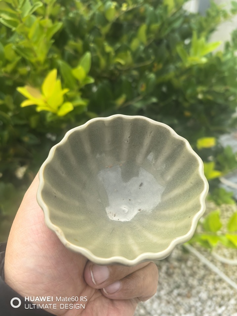 古玩陶瓷龍泉杯真品鑒賞圖