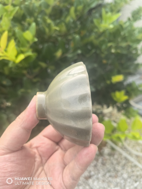 古玩陶瓷龍泉杯真品鑒賞圖