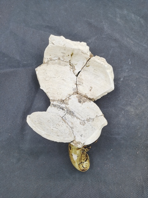 古玩陶瓷黑釉龍紋香爐標本真品鑒賞圖