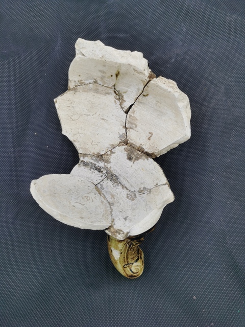 古玩陶瓷黑釉龍紋香爐標本真品鑒賞圖