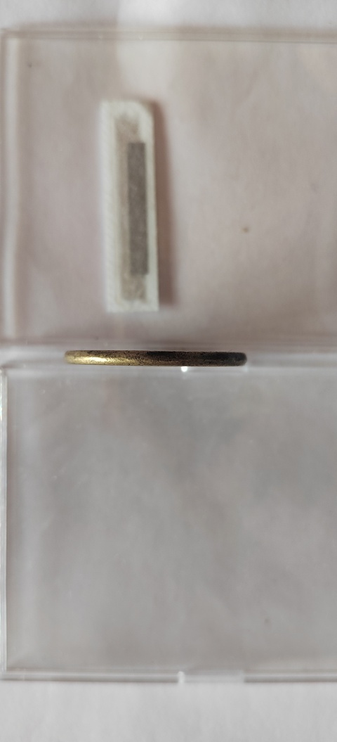 古玩錢幣咸豐重寶寶源當十母錢真品鑒賞圖