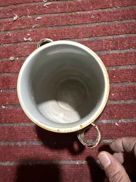 古玩陶瓷醬釉貫耳瓶真品鑒賞圖