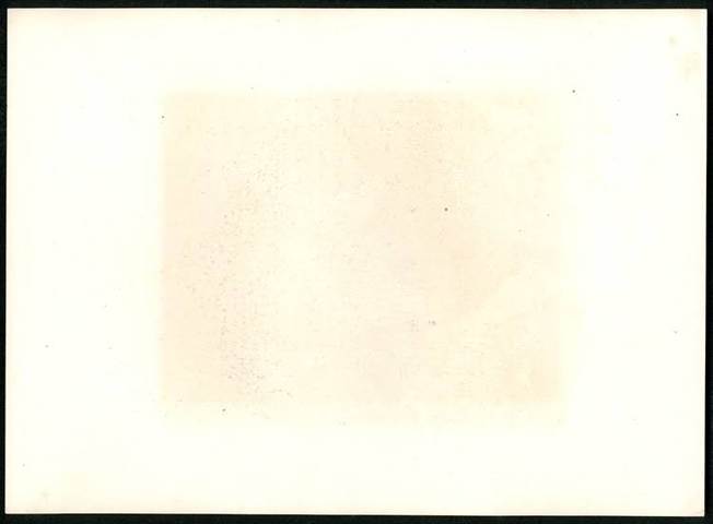 古玩字畫西洋版畫真品鑒賞圖