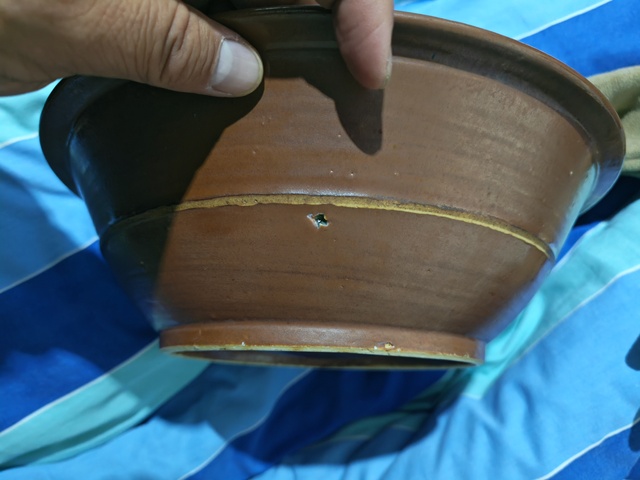 古玩陶瓷紫金釉青花花卉紋折沿盆真品鑒賞圖