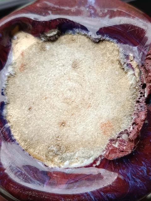 古玩陶瓷窯變紅釉三足爐拍賣，當前價格5888元