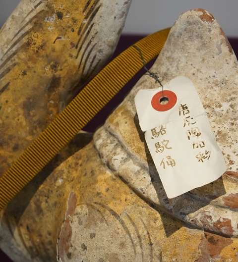 古玩陶瓷疑似拼接或者修復較嚴重唐代陶駱駝真品鑒賞圖