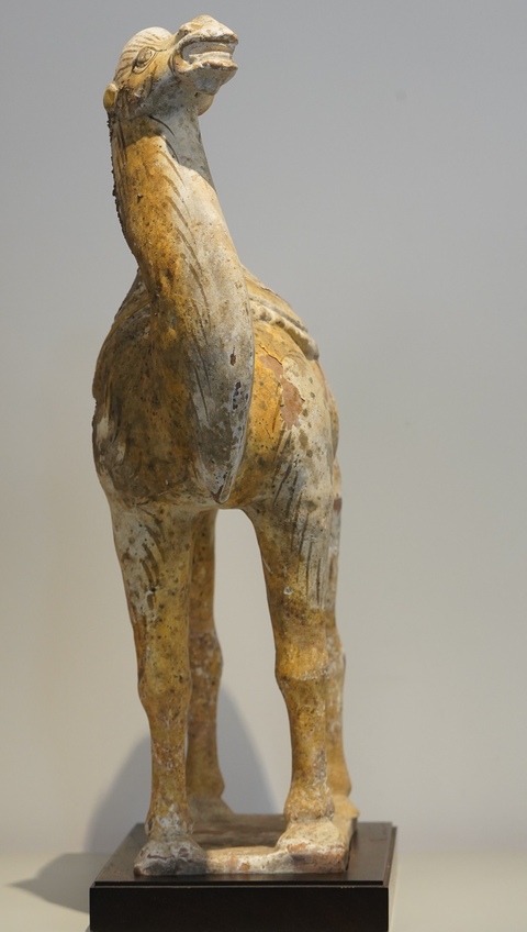 古玩陶瓷疑似拼接或者修復較嚴重唐代陶駱駝真品鑒賞圖