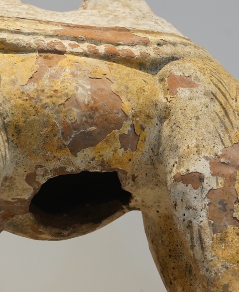 古玩陶瓷疑似拼接或者修復較嚴重唐代陶駱駝真品鑒賞圖