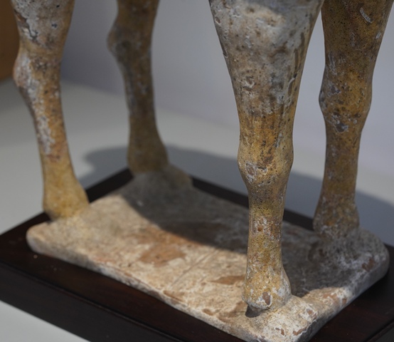 古玩陶瓷疑似拼接或者修復較嚴重唐代陶駱駝真品鑒賞圖