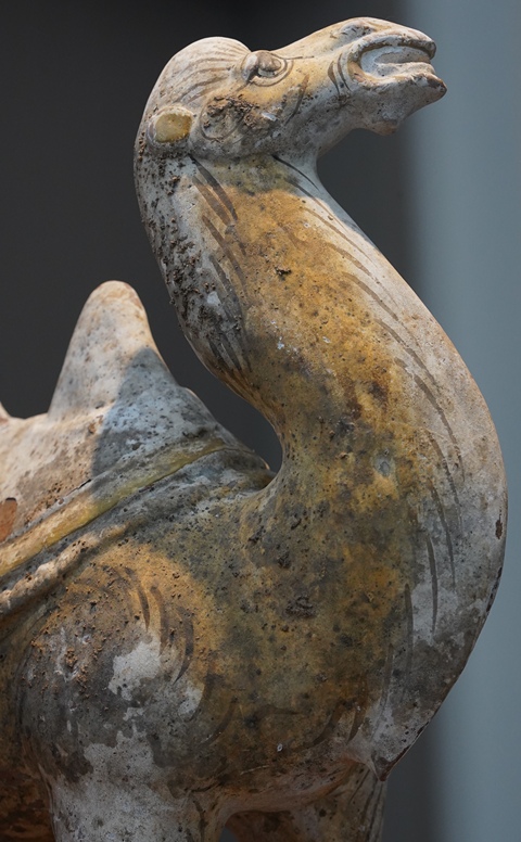 古玩陶瓷疑似拼接或者修復較嚴重唐代陶駱駝真品鑒賞圖