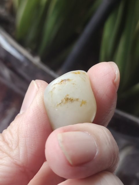 古玩玉器天然和田玉籽料原石拍賣，當前價格688元