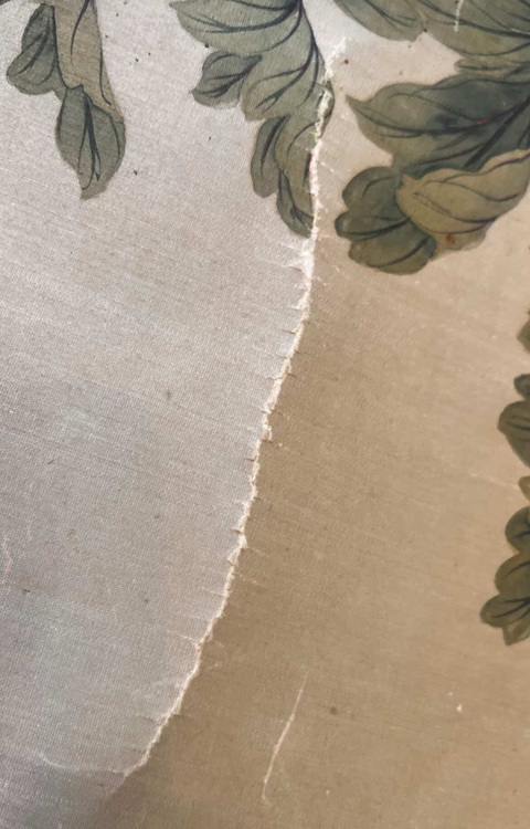 古玩字畫曹锜《貓蝶富貴圖》真品鑒賞圖