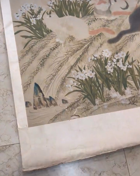 古玩字畫曹锜《貓蝶富貴圖》真品鑒賞圖