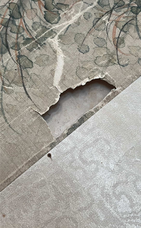 古玩字畫曹锜《貓蝶富貴圖》真品鑒賞圖