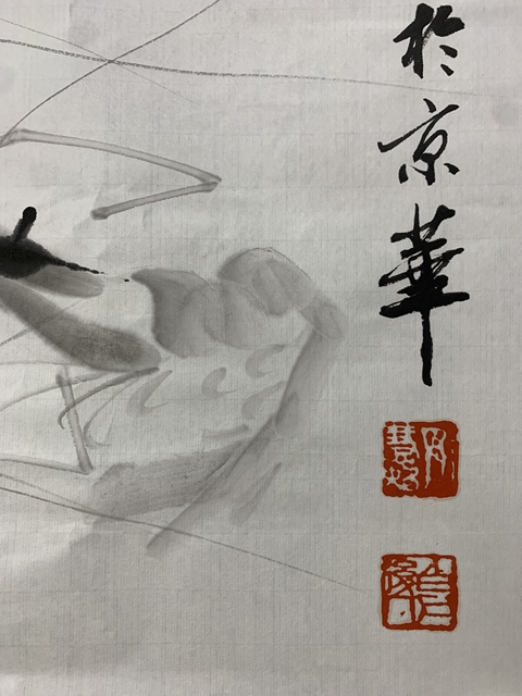 古玩字畫齊慧娟 墨蝦圖真品鑒賞圖