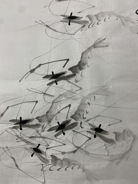 古玩字畫齊慧娟 墨蝦圖真品鑒賞圖