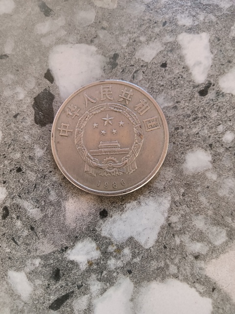 古玩錢幣國際和平年紀念幣真品鑒賞圖