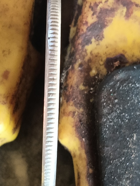 古玩錢幣國際和平年紀念幣真品鑒賞圖