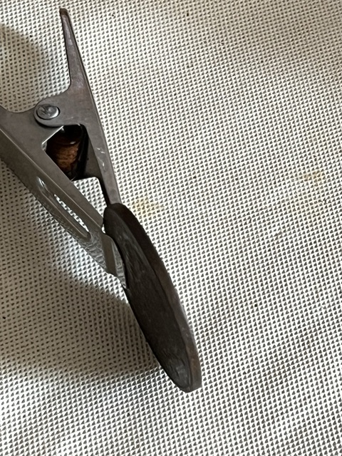 古玩錢幣湖北省造光緒元寶真品鑒賞圖