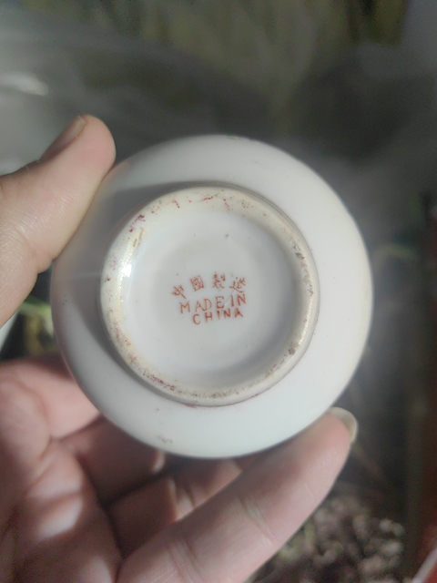 古玩陶瓷粉彩花鳥瓶真品鑒賞圖