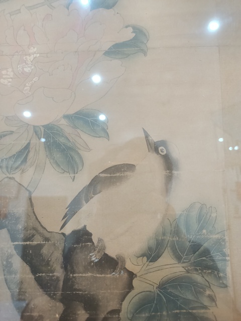 古玩字畫顏伯龍款花鳥真品鑒賞圖