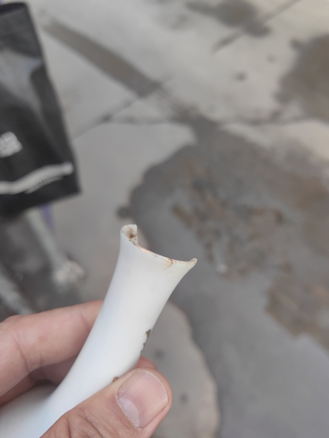 古玩陶瓷粉彩花鳥瓶真品鑒賞圖