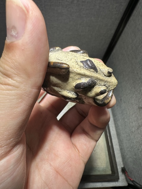 古玩陶瓷白釉褐彩蛙型水盂真品鑒賞圖