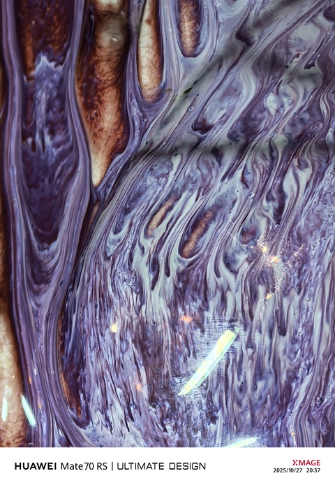 古玩陶瓷窯變釉雙鶴耳尊真品鑒賞圖