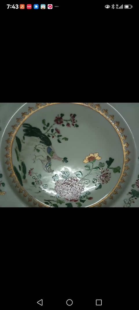 古玩陶瓷粉彩孔雀牡丹花卉紋盤真品鑒賞圖