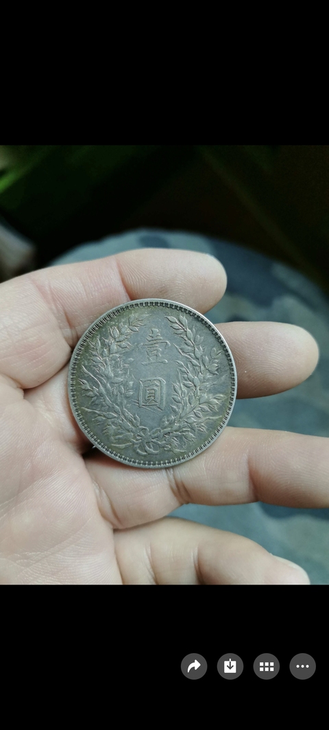 古玩錢幣民國十年袁像壹圓真品鑒賞圖