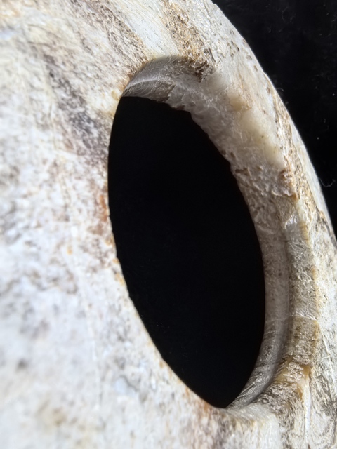 古玩玉器仿古做舊玉瑗真品鑒賞圖