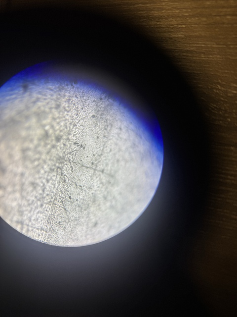 古玩玉器素紋玉璜真品鑒賞圖