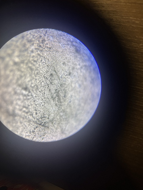 古玩玉器素紋玉璜真品鑒賞圖