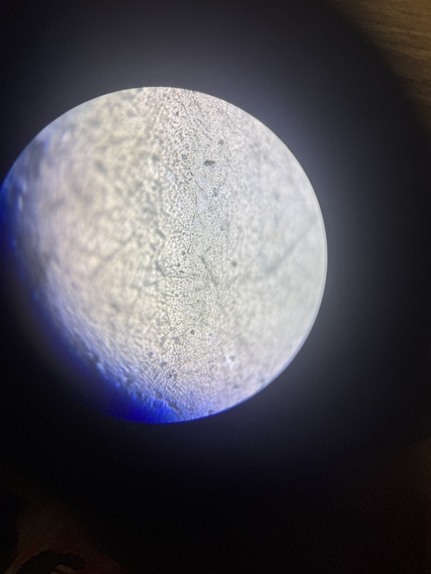 古玩玉器素紋玉璜真品鑒賞圖