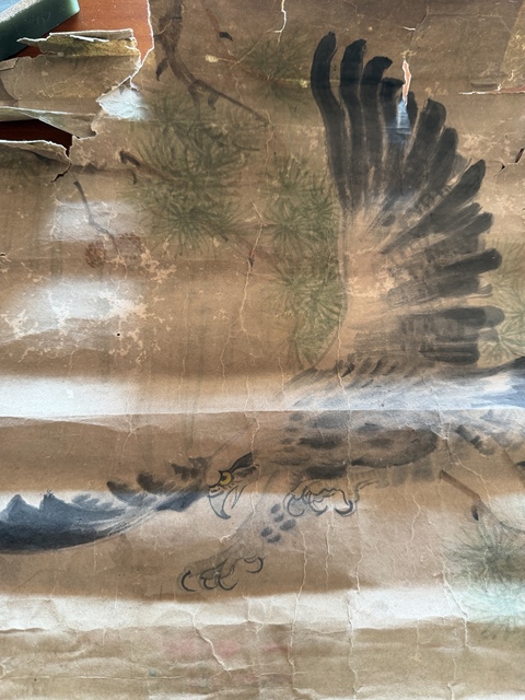 古玩字畫雄鷹展翅圖真品鑒賞圖