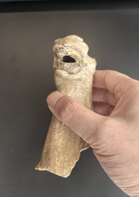 古玩陶瓷隋唐三彩馬頭拍賣,當(dāng)前價(jià)格3888元