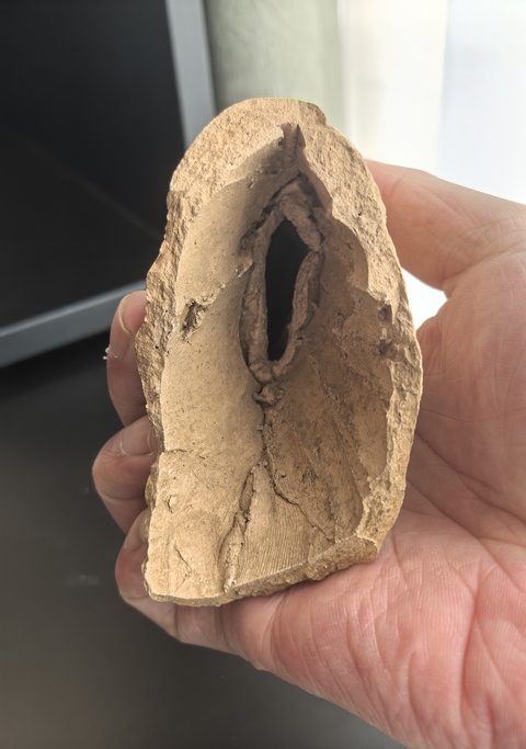 古玩陶瓷隋唐三彩馬頭拍賣,當(dāng)前價(jià)格3888元