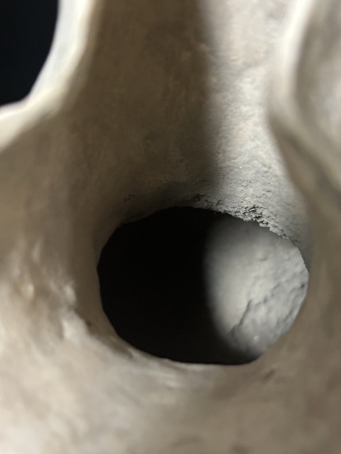 古玩陶瓷龍山· 白陶鬶（民間唯一）真品鑒賞圖