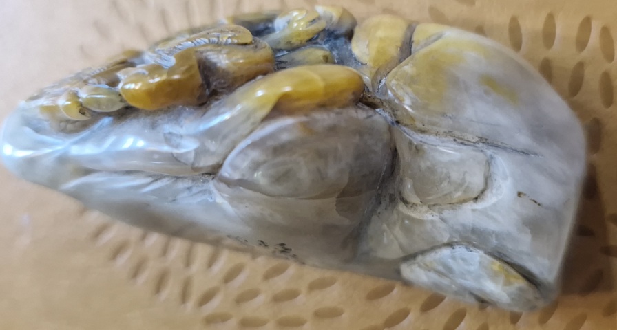 古玩雜項(xiàng)閑章：寧支離毋安排真品鑒賞圖