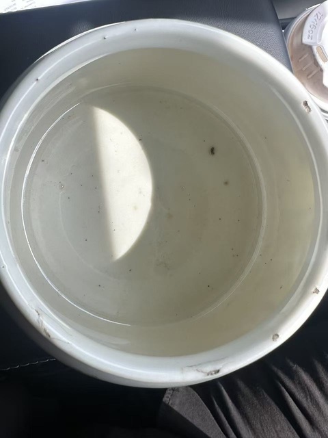 古玩陶瓷五彩花鳥馬蹄尊真品鑒賞圖