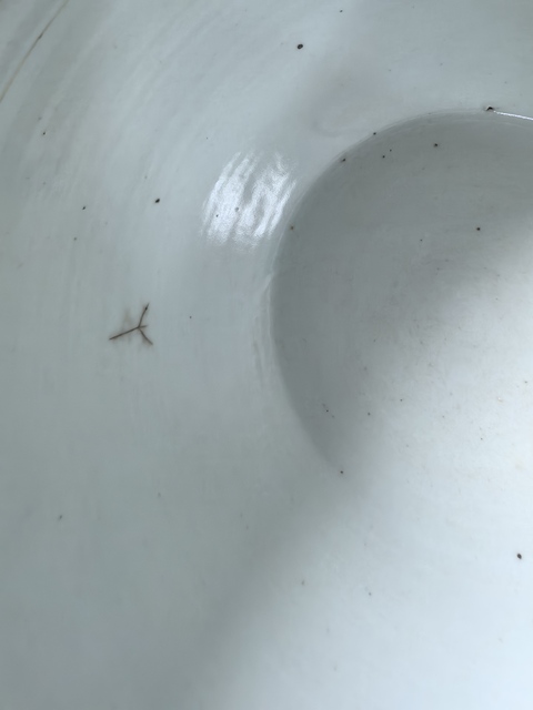 古玩陶瓷粉彩仕女人物粥罐拍賣，當前價格980元