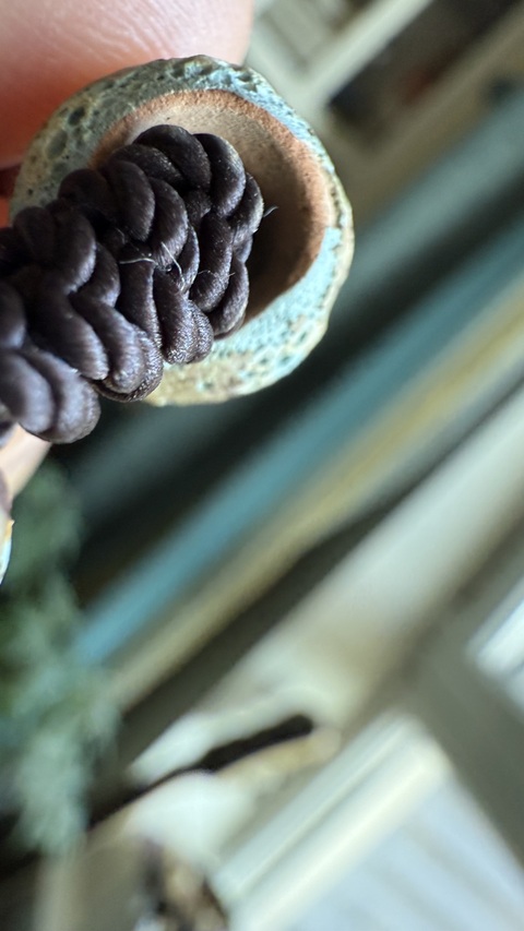 古玩雜項蜻蜓眼真品鑒賞圖