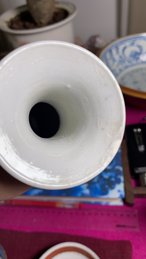 古玩陶瓷清光緒粉彩百花不露地紋瓶真品鑒賞圖