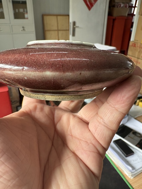 古玩陶瓷紅釉水盂真品鑒賞圖