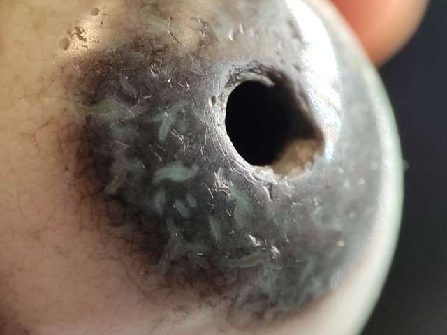 古玩玉器瑪瑙珠子真品鑒賞圖