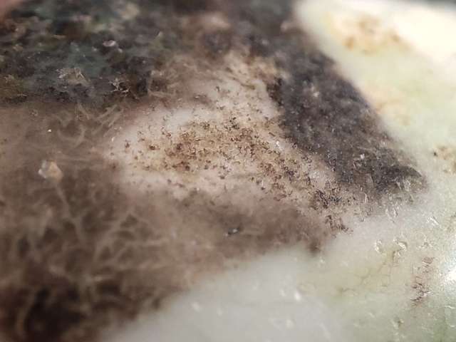 古玩玉器瑪瑙珠子真品鑒賞圖