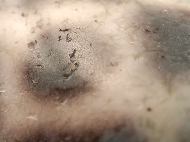 古玩玉器瑪瑙珠子真品鑒賞圖