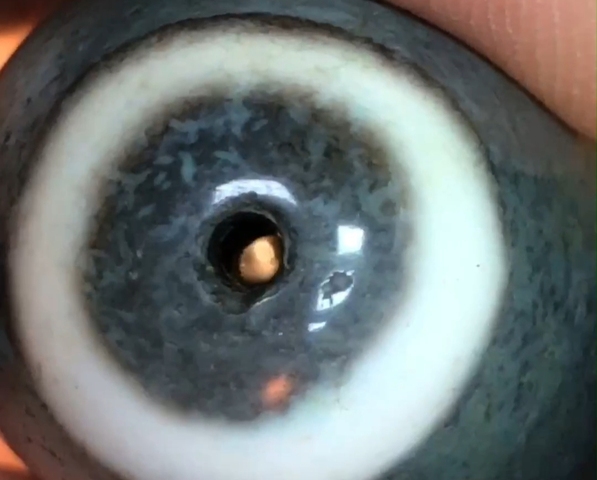 古玩玉器瑪瑙珠子真品鑒賞圖